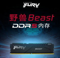 金士顿 骇客神条FURY 16GB-32GB DDR5 5600 台式机内存条 Beast野兽系列