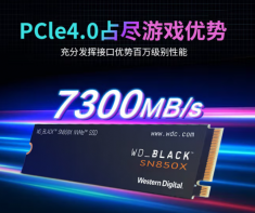 西部数据Blue SN850X SSD固态硬盘 M.2接口PCI E4.0（NVMe协议）